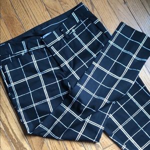 Dress pants